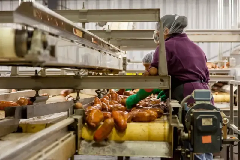 Korzyści z pakowania próżniowego dla jakości i świeżości produktów spożywczych
